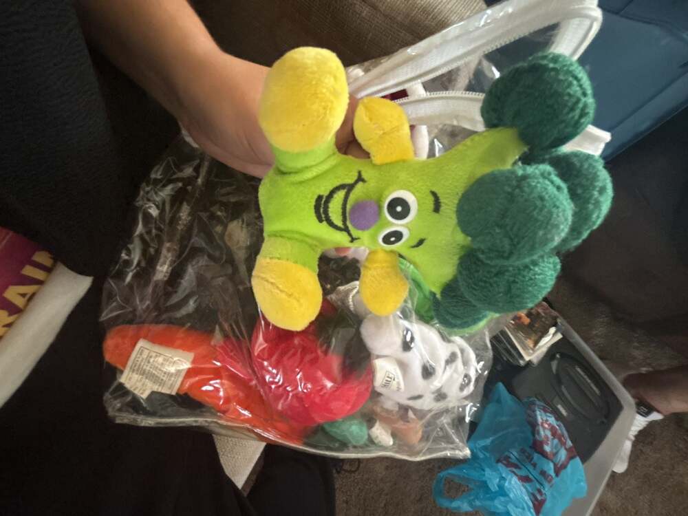 Vintage Toy Box Creations Veggie Friends and Fruit Seedies Plush Bean Bag Lot
